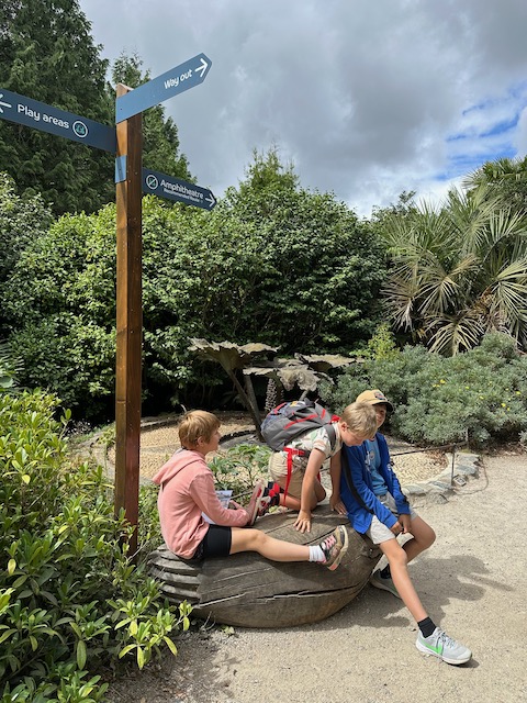 Entering Trebah garden