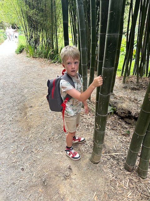 Bamboo hugging
