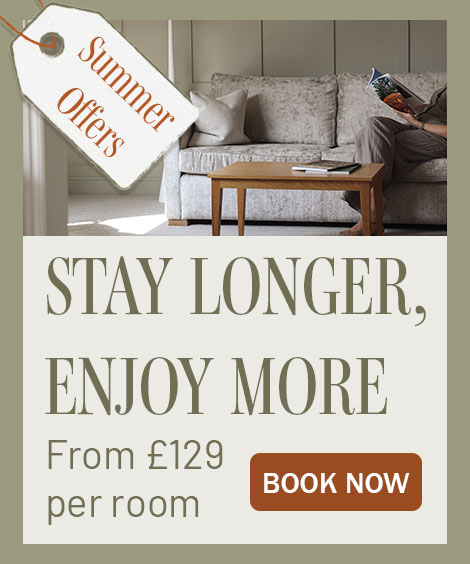 Summer Offers
