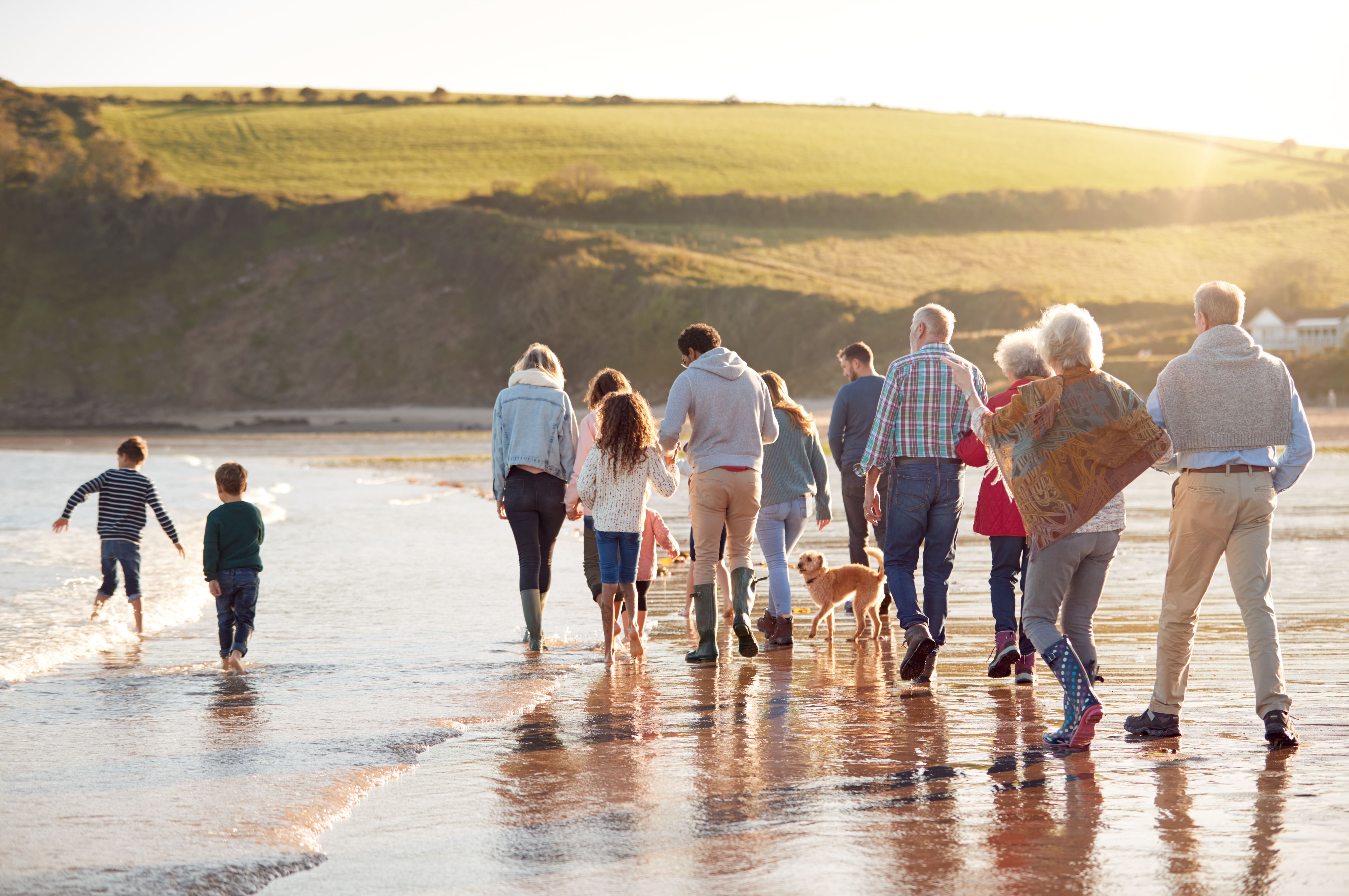 Multigenerational family walks along the shoreline at low tide with a small dog, sunlight reflecting on wet sand and green hills in the distance.