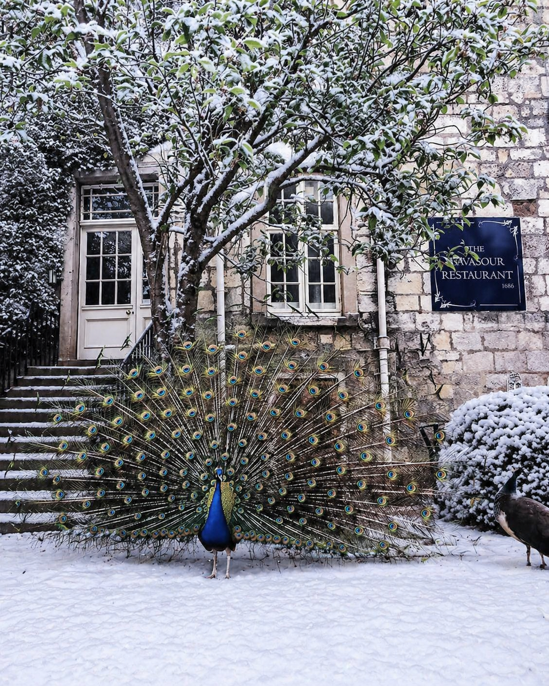 Christmas at Hazlewood Castle