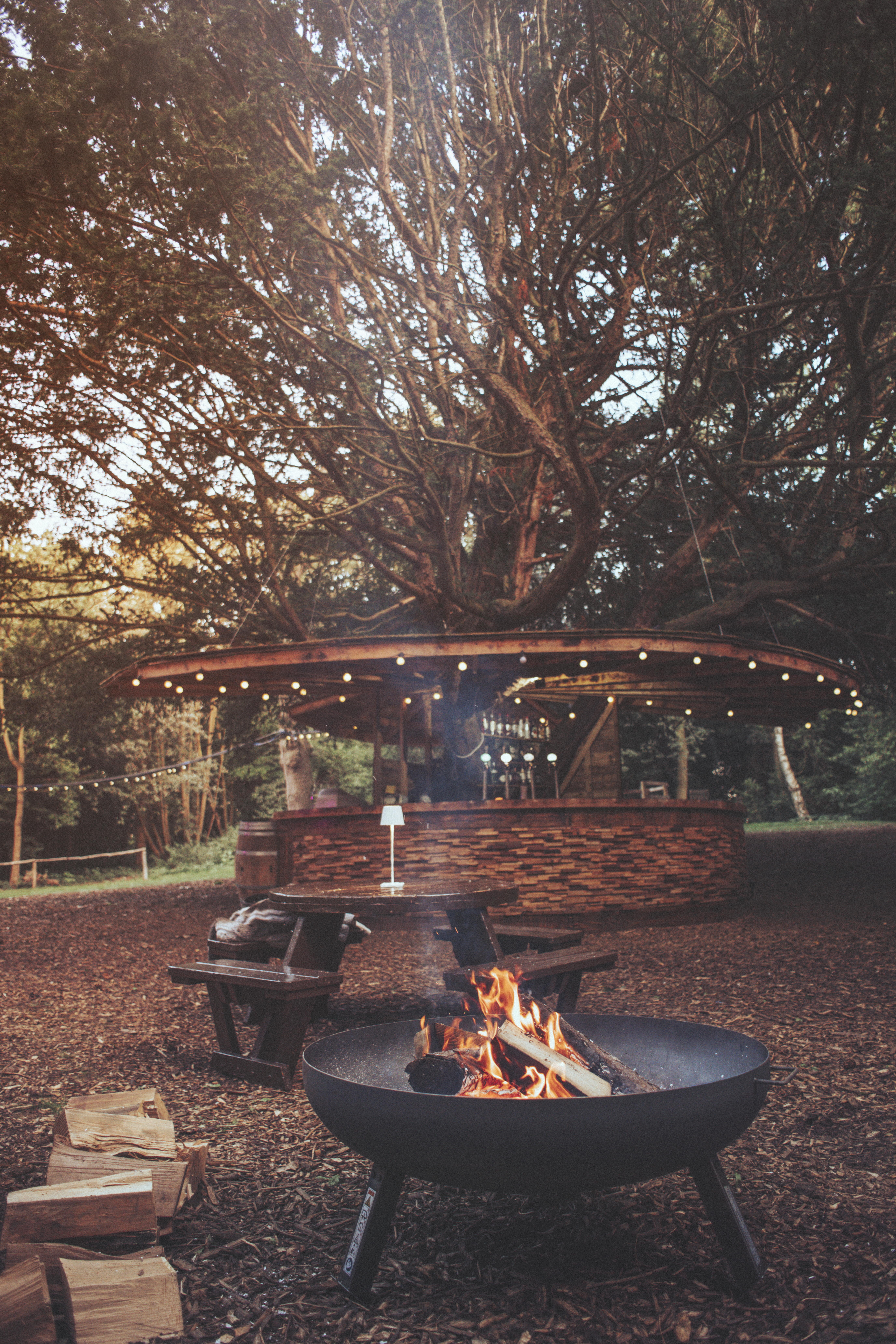 Woodland venue at Hazlewood Castle