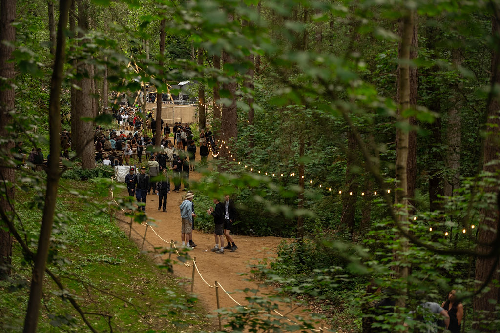 Beyond the woods