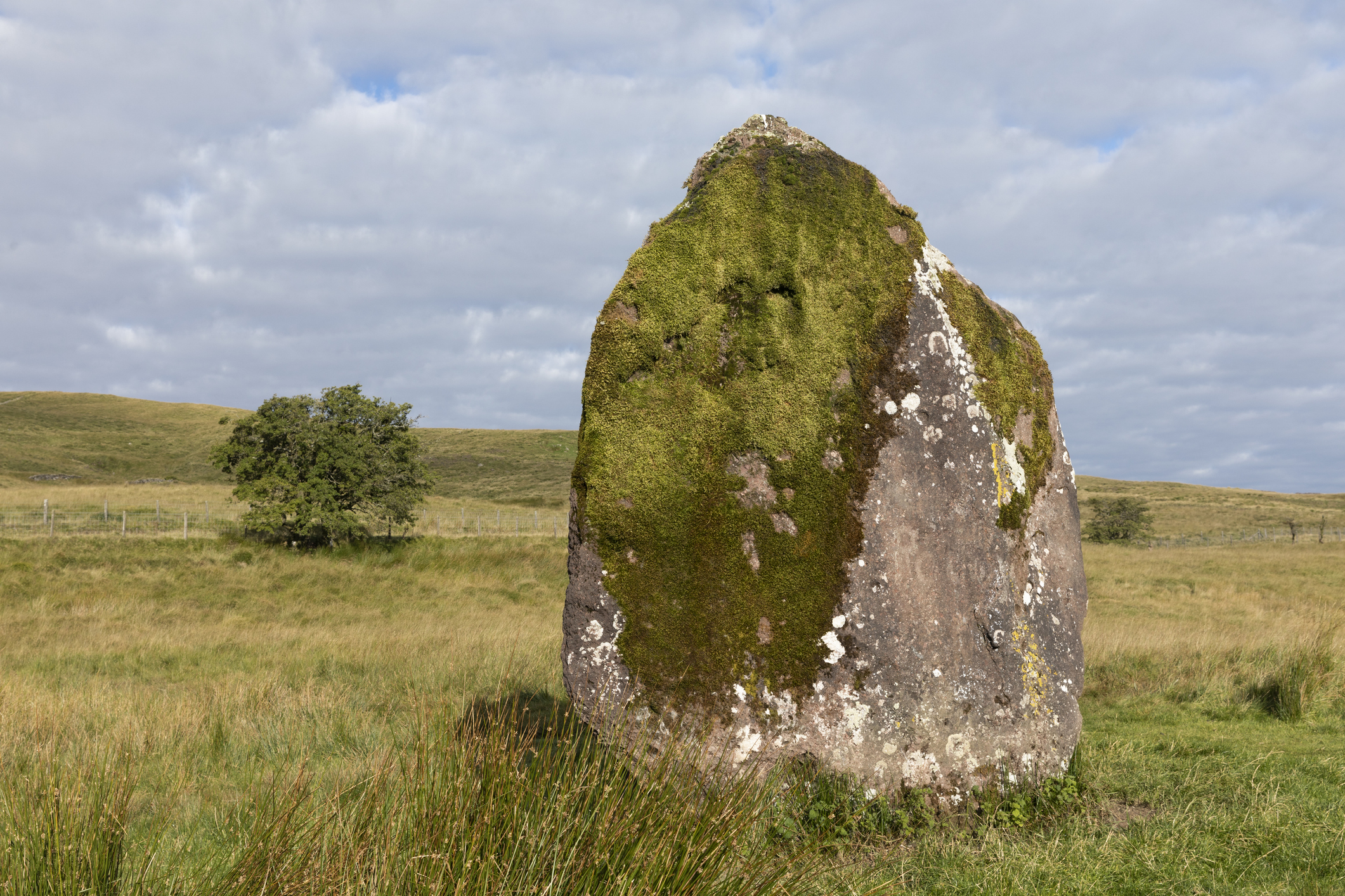 Maen Llia Standing Stone