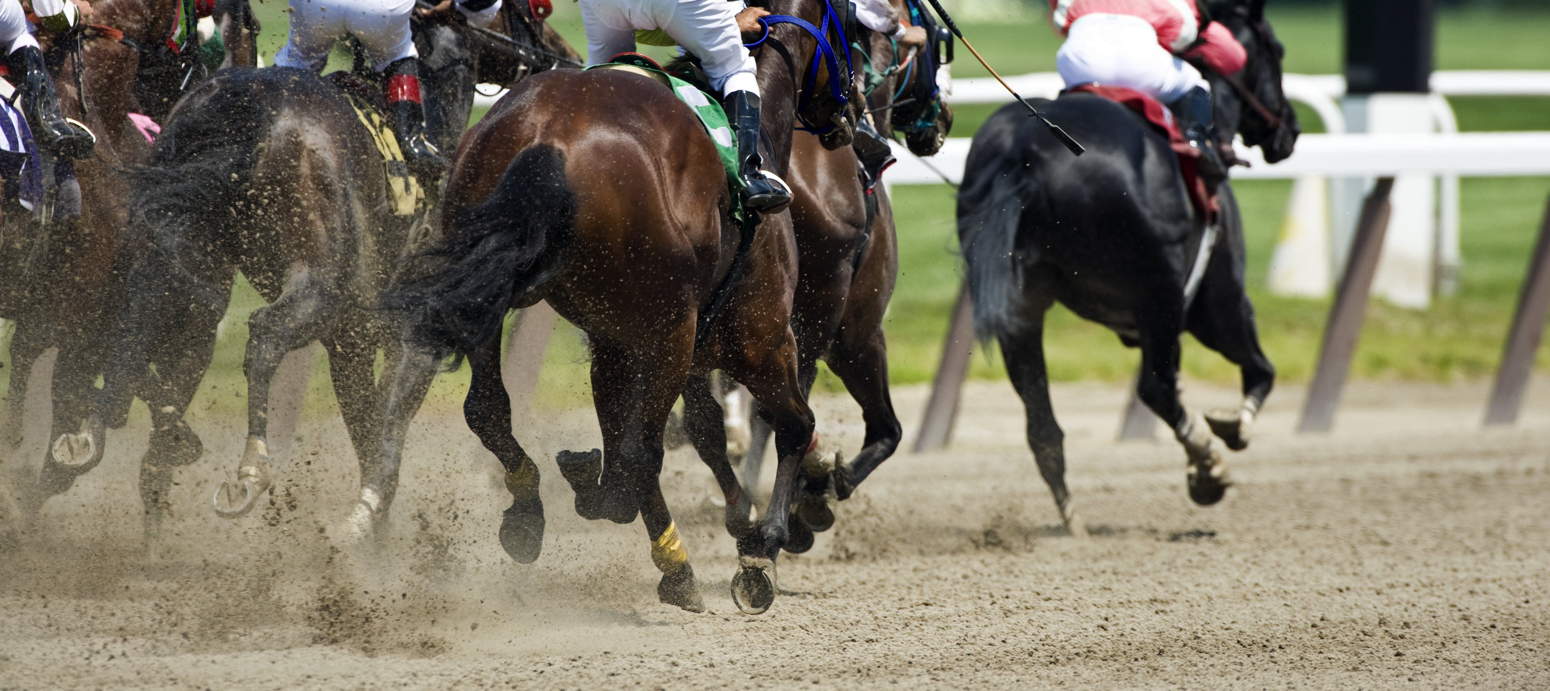 Rear view of racehorses and jockeys kicking up dirt as they sprint around a bend on a racetrack during a competitive horse race.