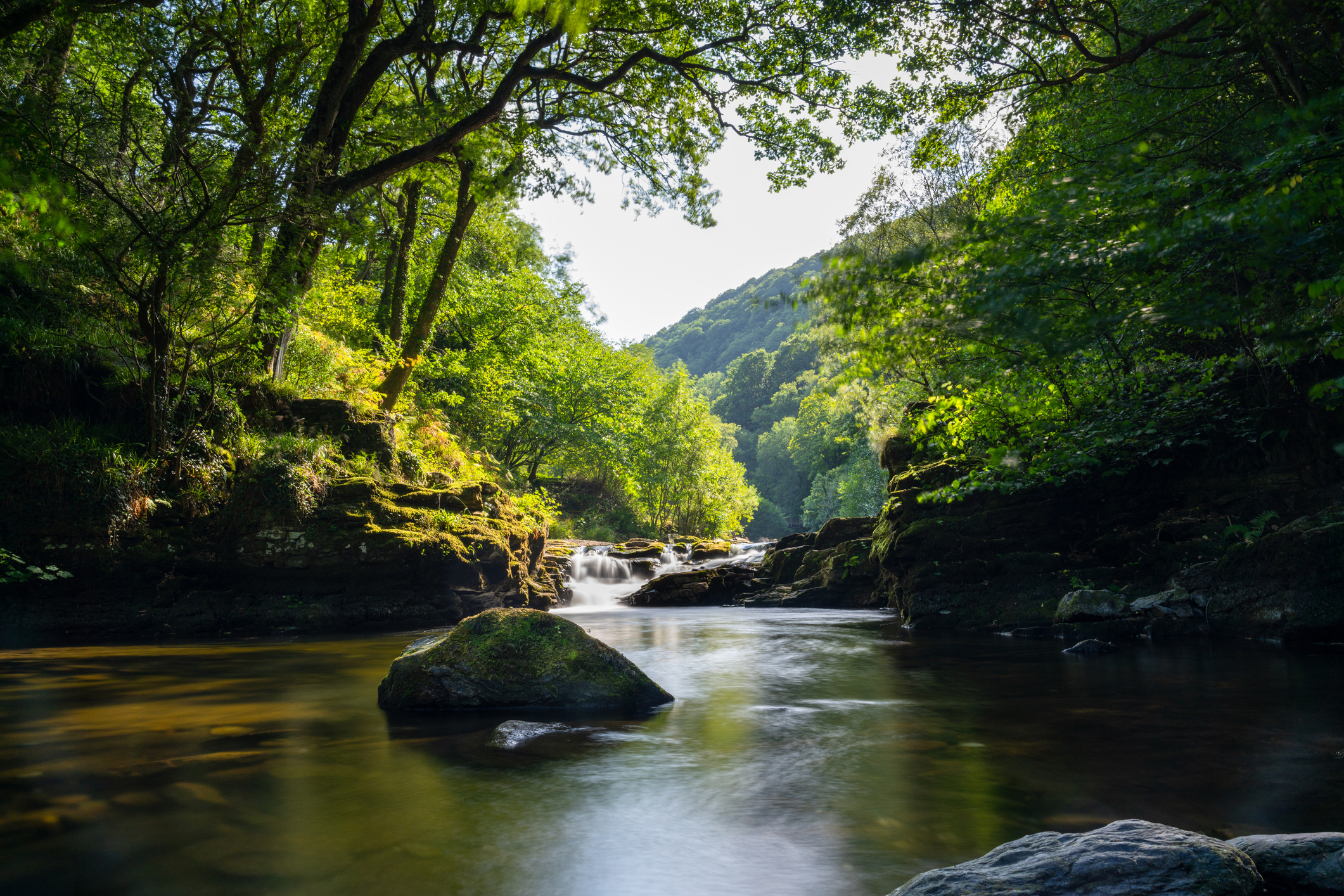 Tranquil woodland scene at Watersmeet in North Devon, with a gently flowing river, moss-covered rocks, and dense green foliage under dappled sunlight.
