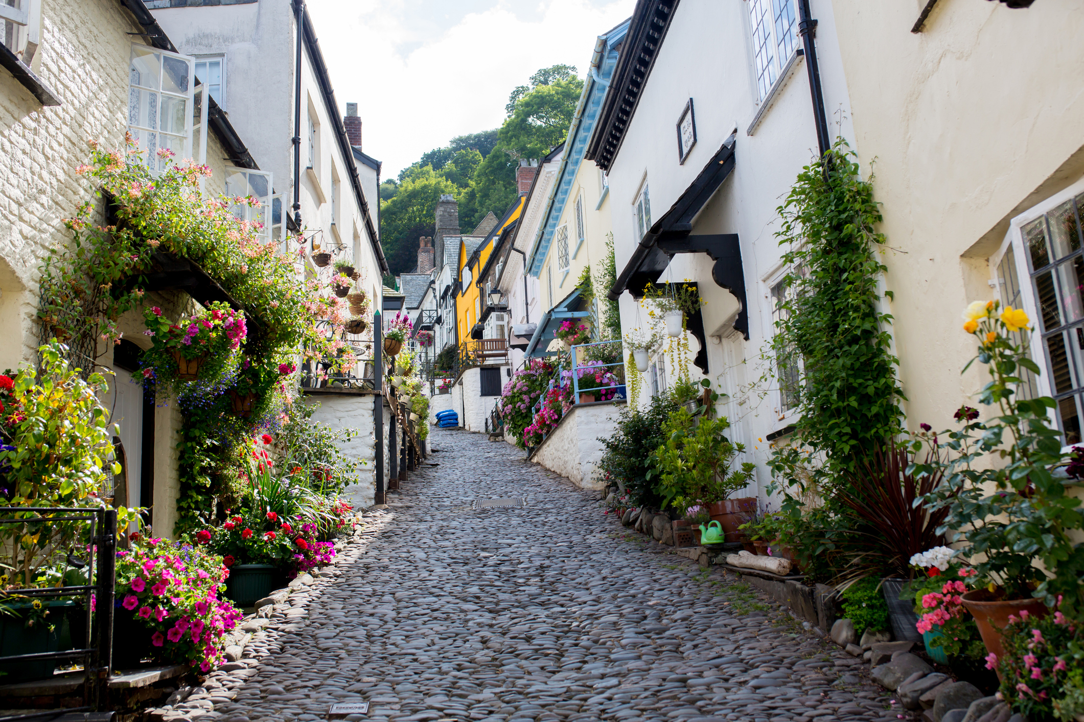 Steep cobbled street in Clovelly, North Devon, lined with whitewashed cottages and vibrant flowers in hanging baskets and pots on a sunny day.